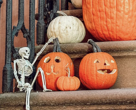 Get Your Home and Garden Halloween-Ready with Spooky and Sweet Seasonal Touches