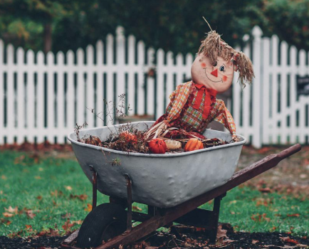 Cozy Up Your Space: Fall Decorating Tips for a Warm and Welcoming Home & Garden
