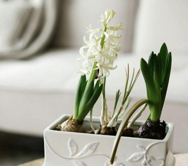 Welcome Spring with Fresh Décor for Your Home and Garden