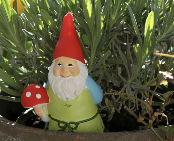 Celebrate Summer and Independence Day with Patriotic Home and Garden Touches