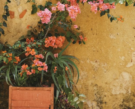 Add Personality to Every Corner: Timeless Decor Ideas for Inside and Out