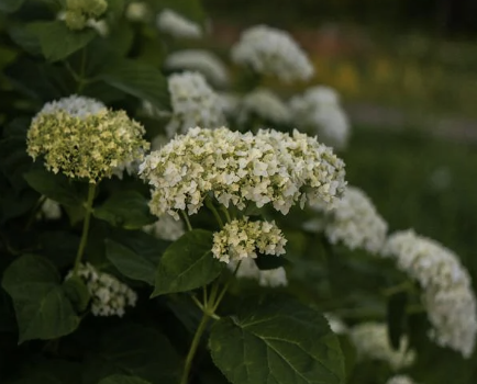 5 Simple Ways to Refresh Your Garden Décor and Bring It Back to Life
